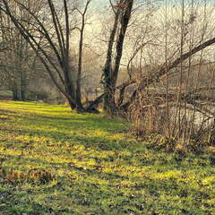 24-12-05 12-26-44 1556